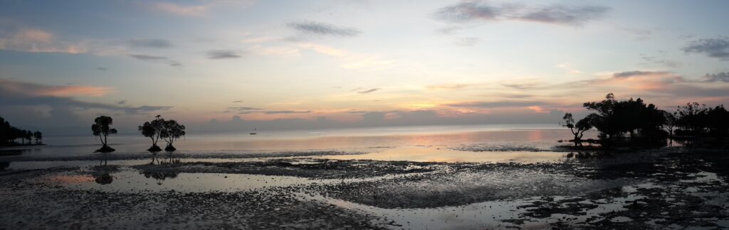 Coastal Mangrove Forests by Marize Koekemoer